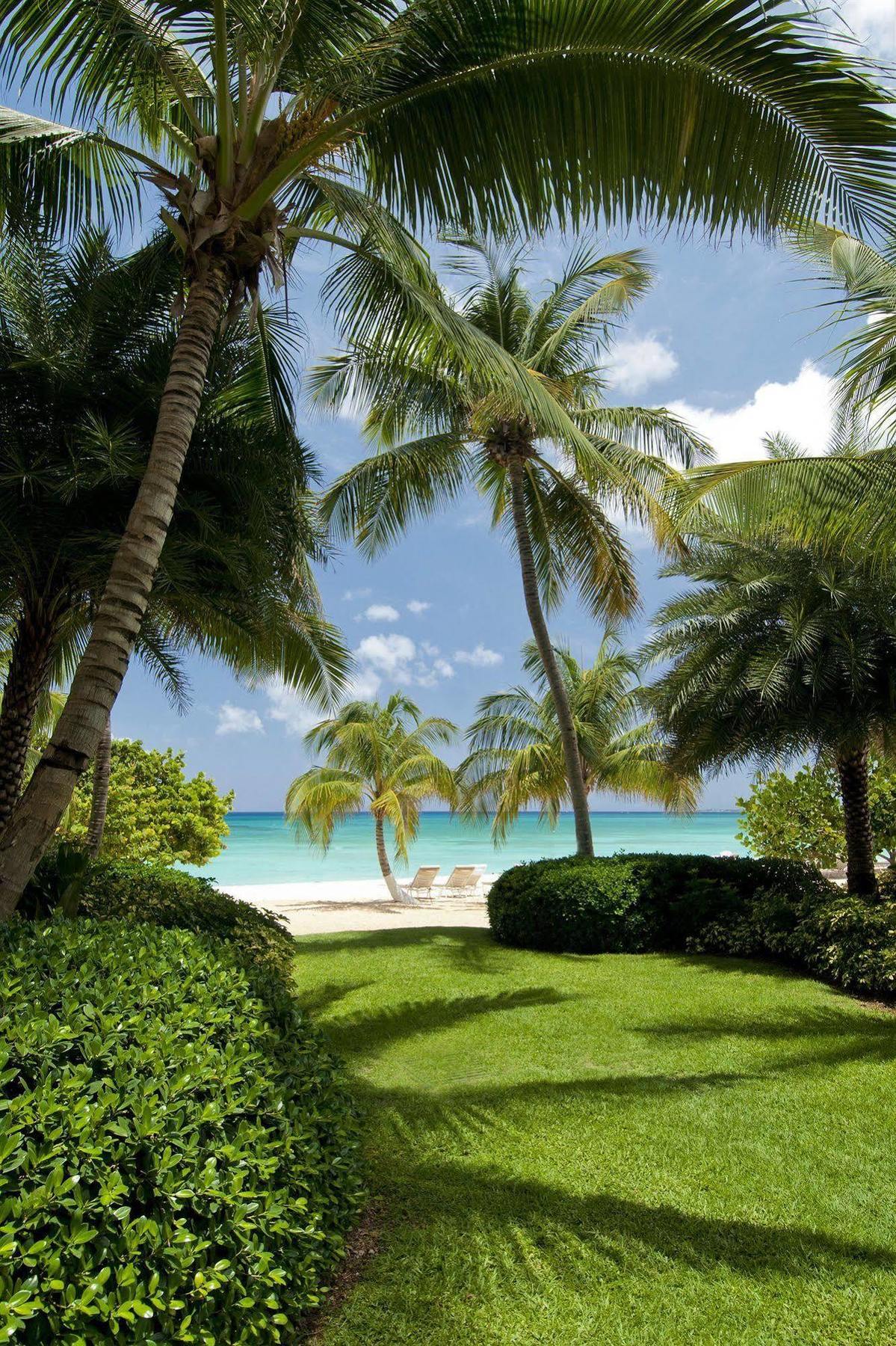 Caribbean Club Boutique Hotel, Grand Cayman Dog City 외부 사진